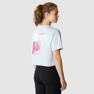 The North Face outdoor σταμπεσ T-Shirt Dusty Periwinkle | AJHMQL-987
